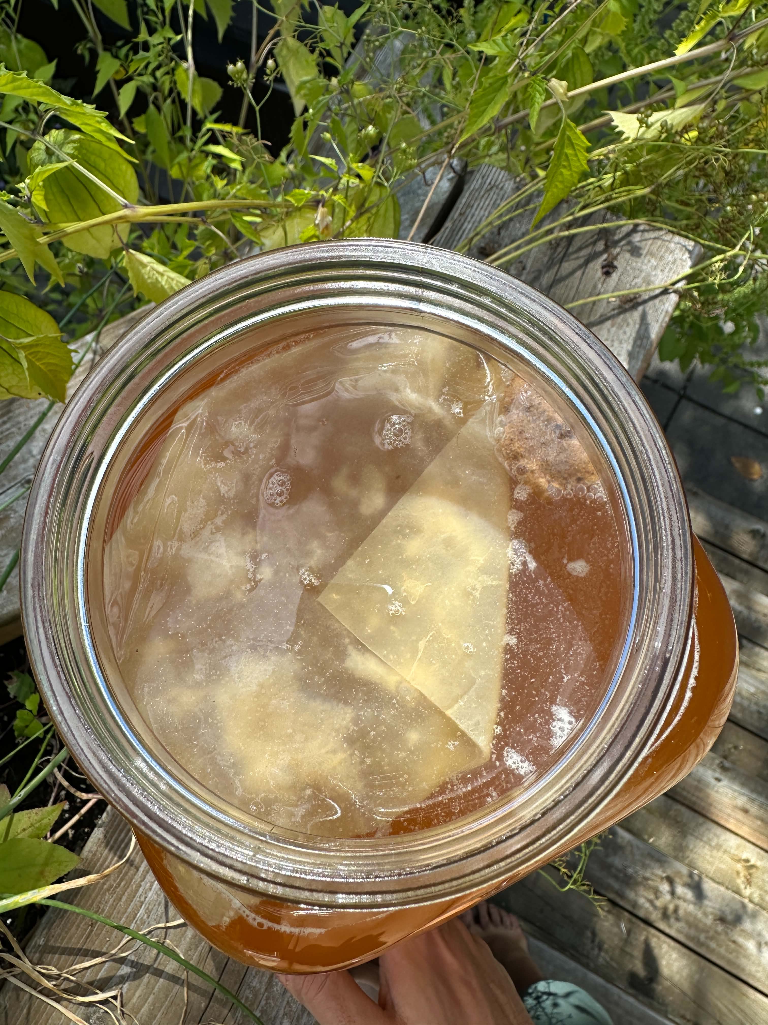 Kombucha maison — étape de préparation